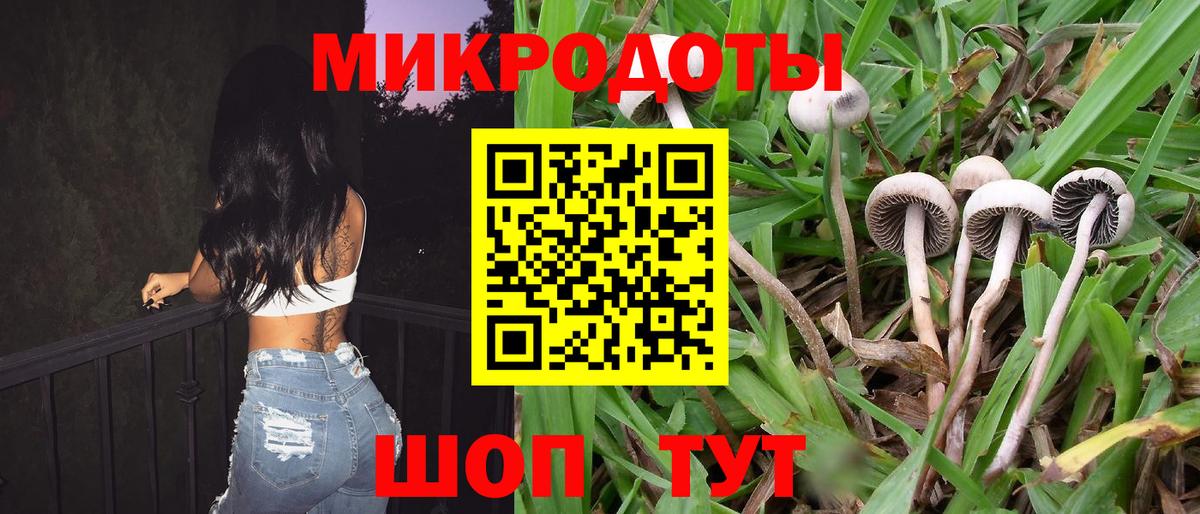Галлюциногенные грибы мухоморы  Псилоцибиновые грибы Psilocybe  Павлово  Вход с VPN 